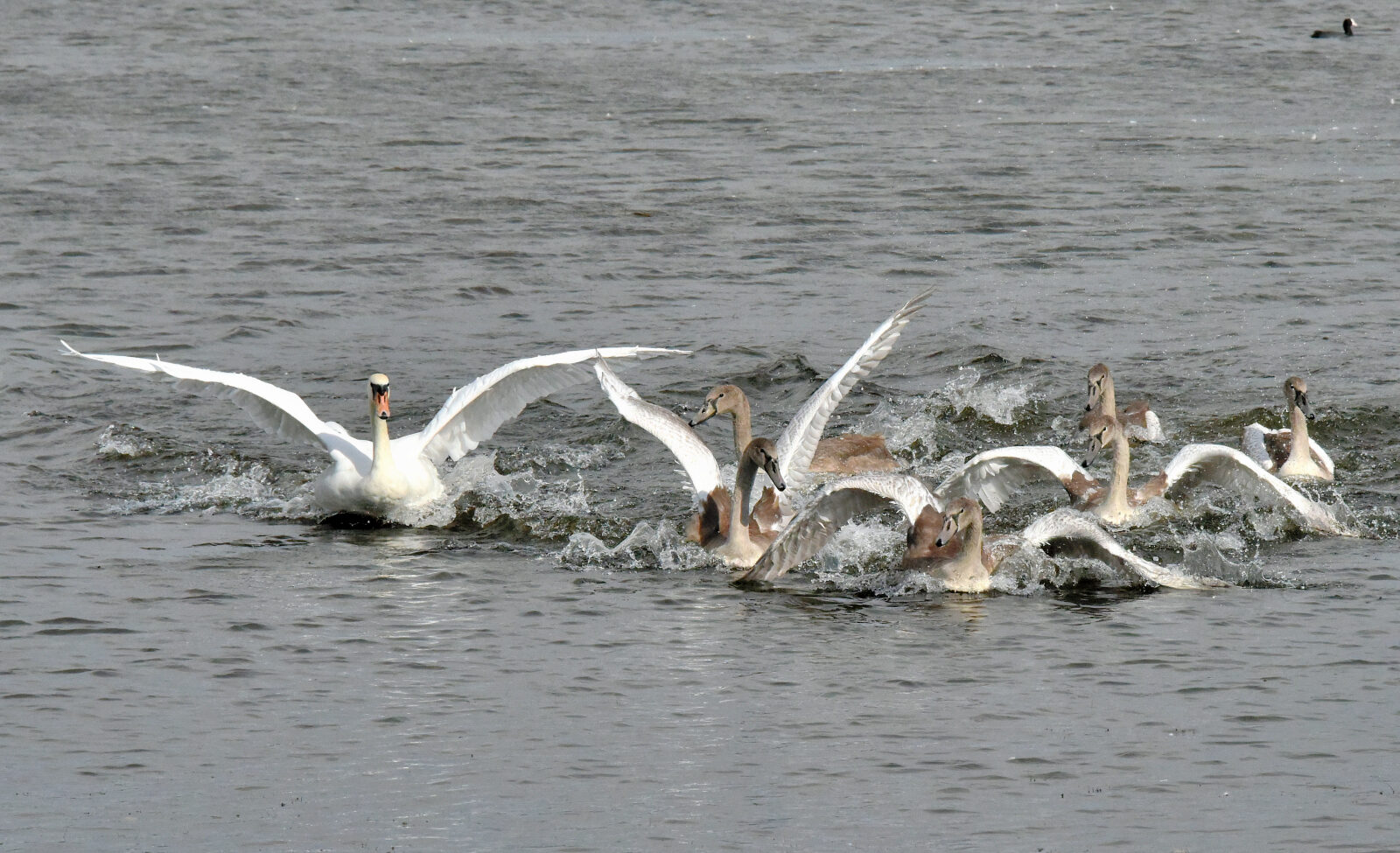 Valokuvaaja: Reijo Juurinen