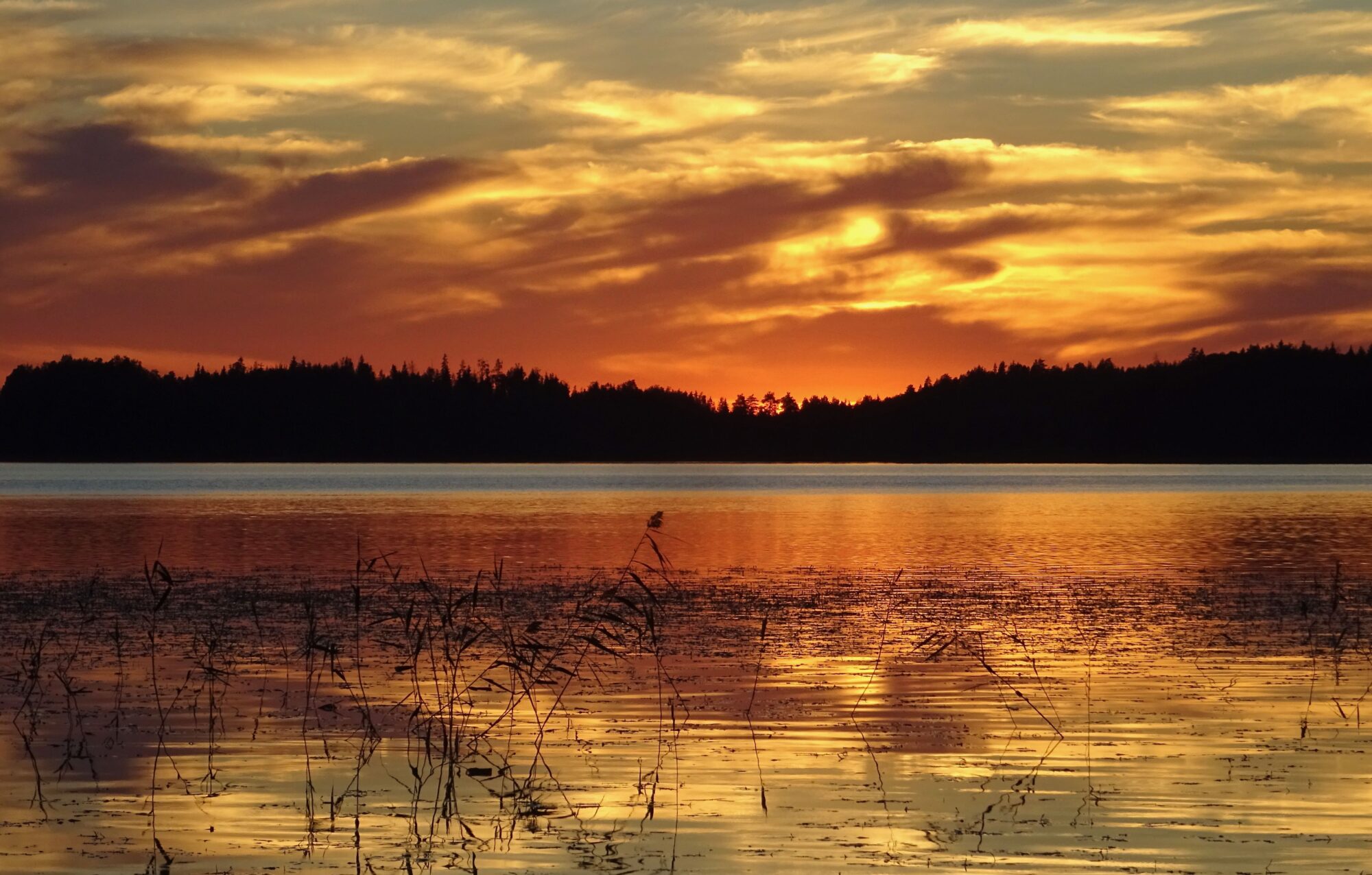 Valokuvaaja: Liisa Niiva-Korpela