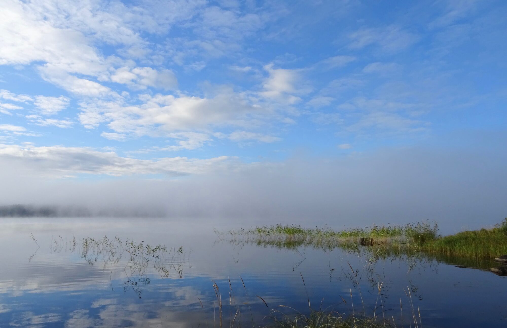 Valokuvaaja: Liisa Niiva-Korpela
