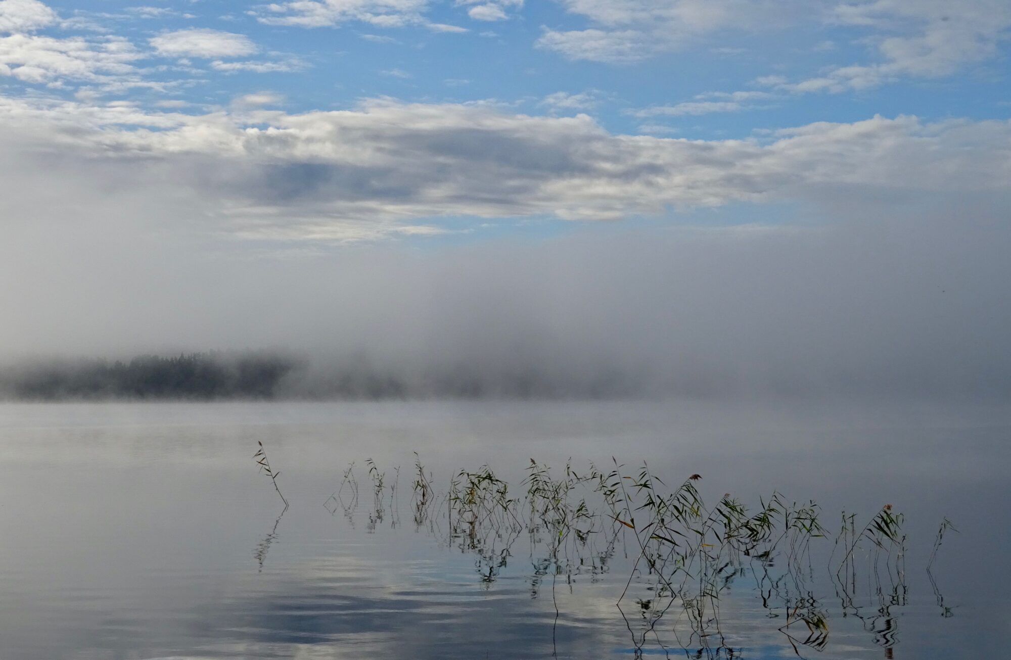 Valokuvaaja: Liisa Niiva-Korpela