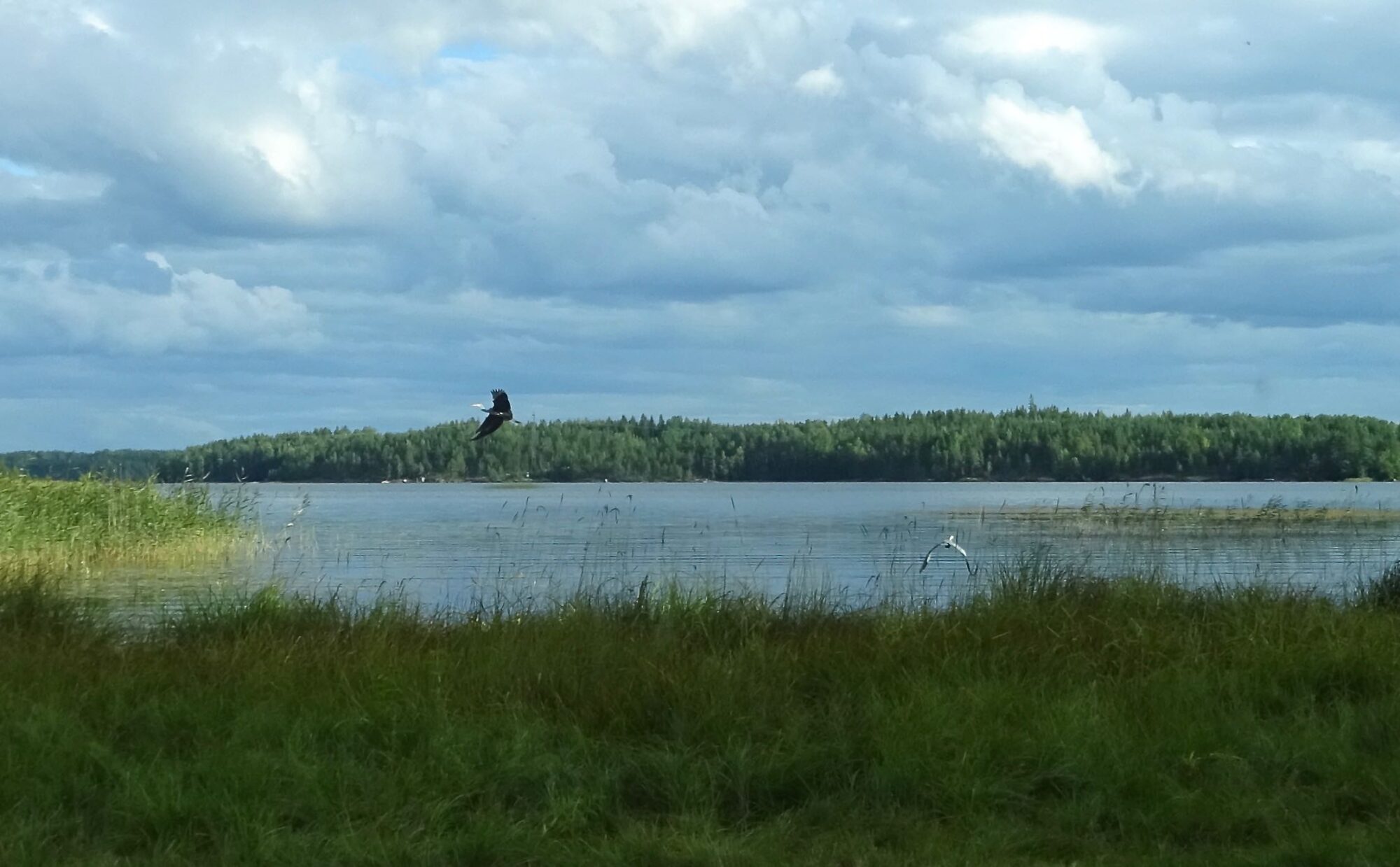 Valokuvaaja: Liisa Niiva-Korpela