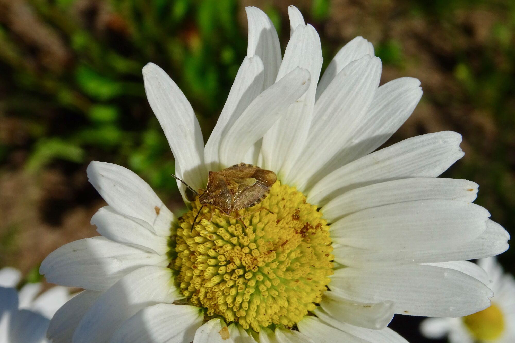 Valokuvaaja: Liisa Niiva-Korpela