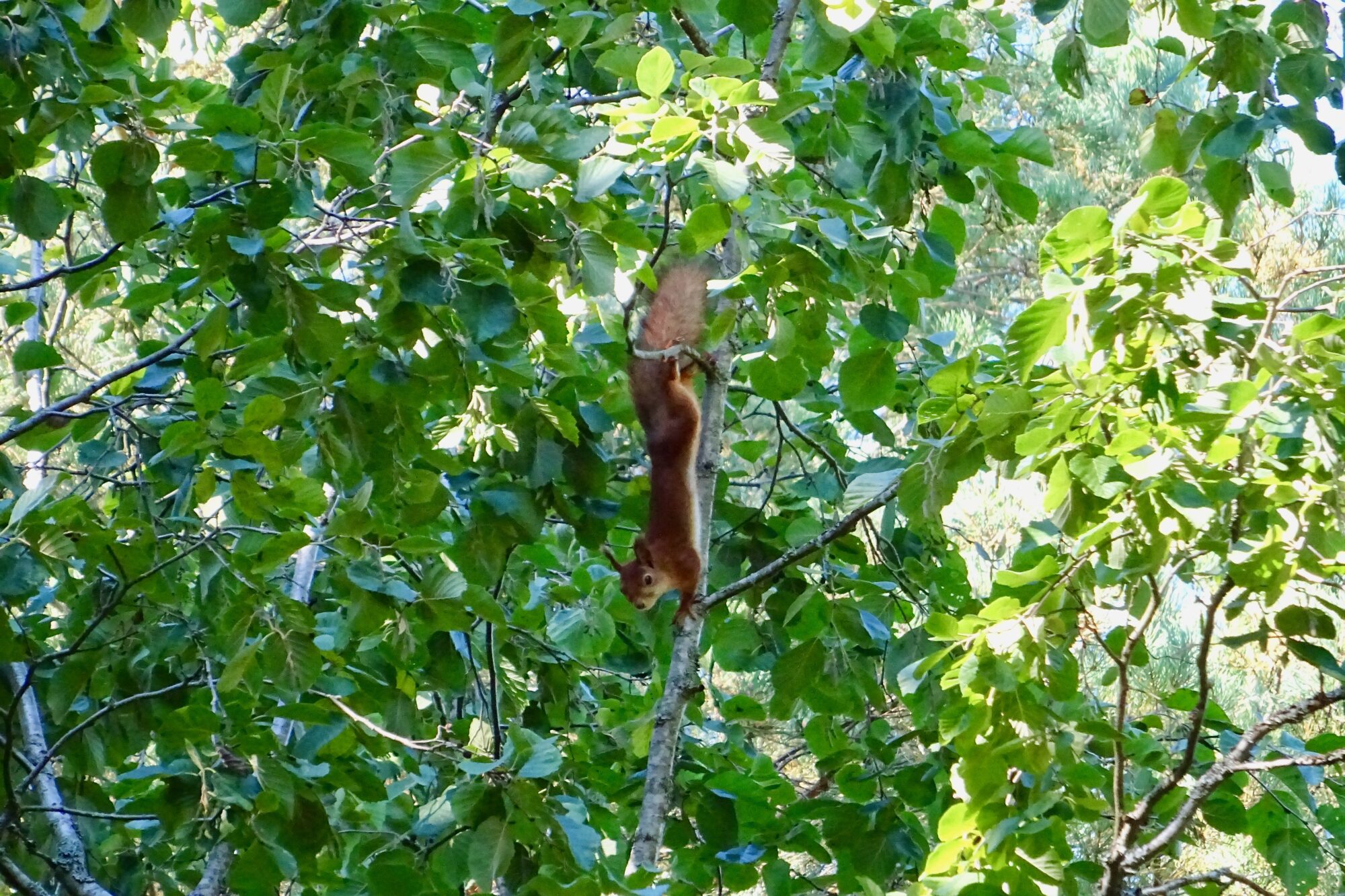 Valokuvaaja: Liisa Niiva-Korpela