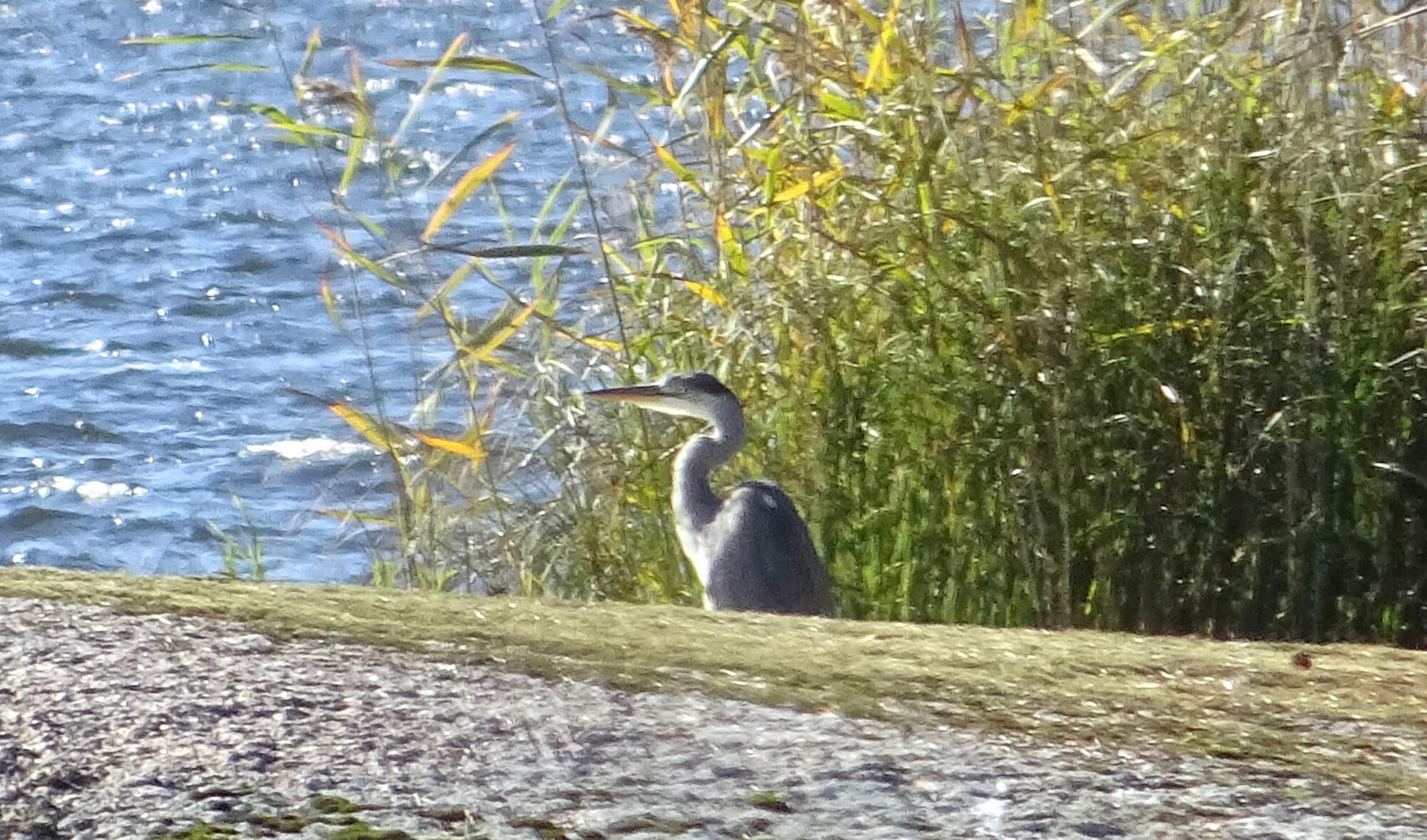 Valokuvaaja: Liisa Niiva-Korpela
