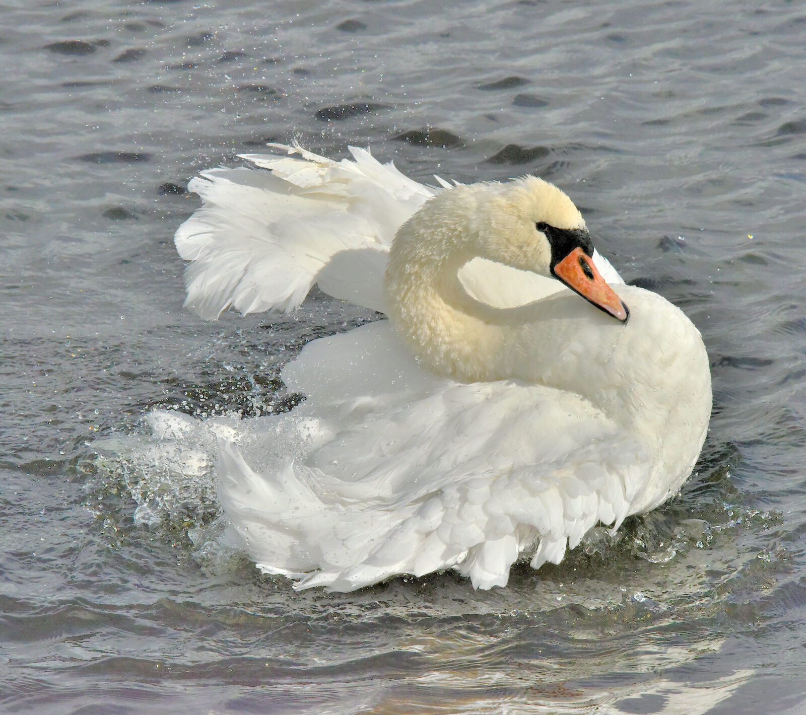 Valokuvaaja: Reijo Juurinen