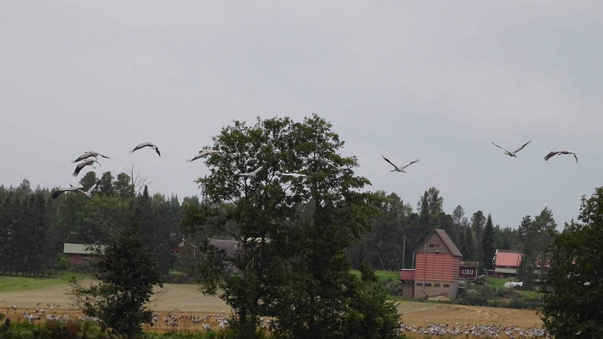 Valokuvaaja: Katja Ketola
