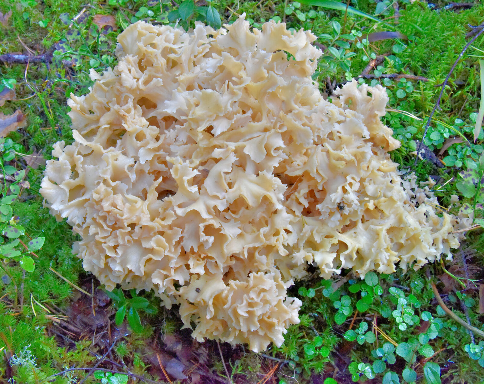 Valokuvaaja: Reijo Juurinen