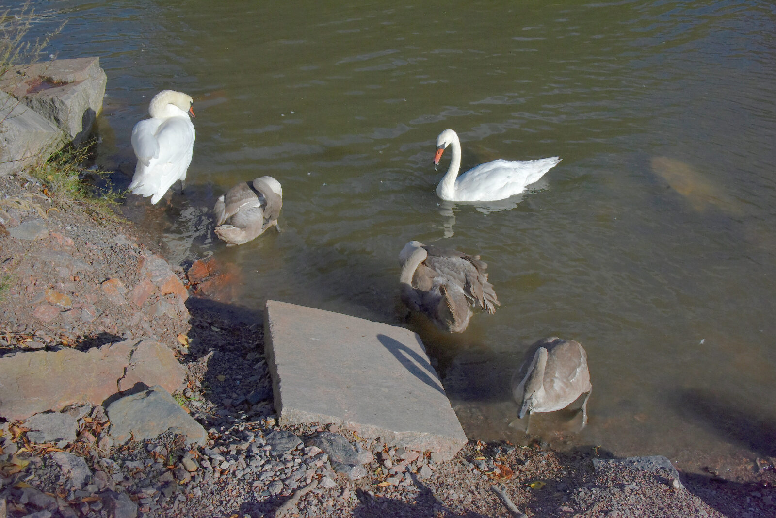 Valokuvaaja: Reijo Juurinen