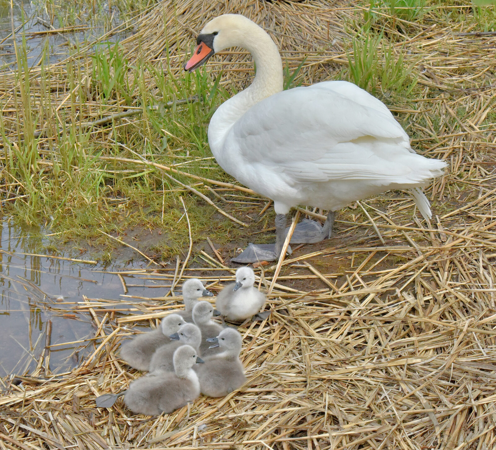 Valokuvaaja: Reijo Juurinen