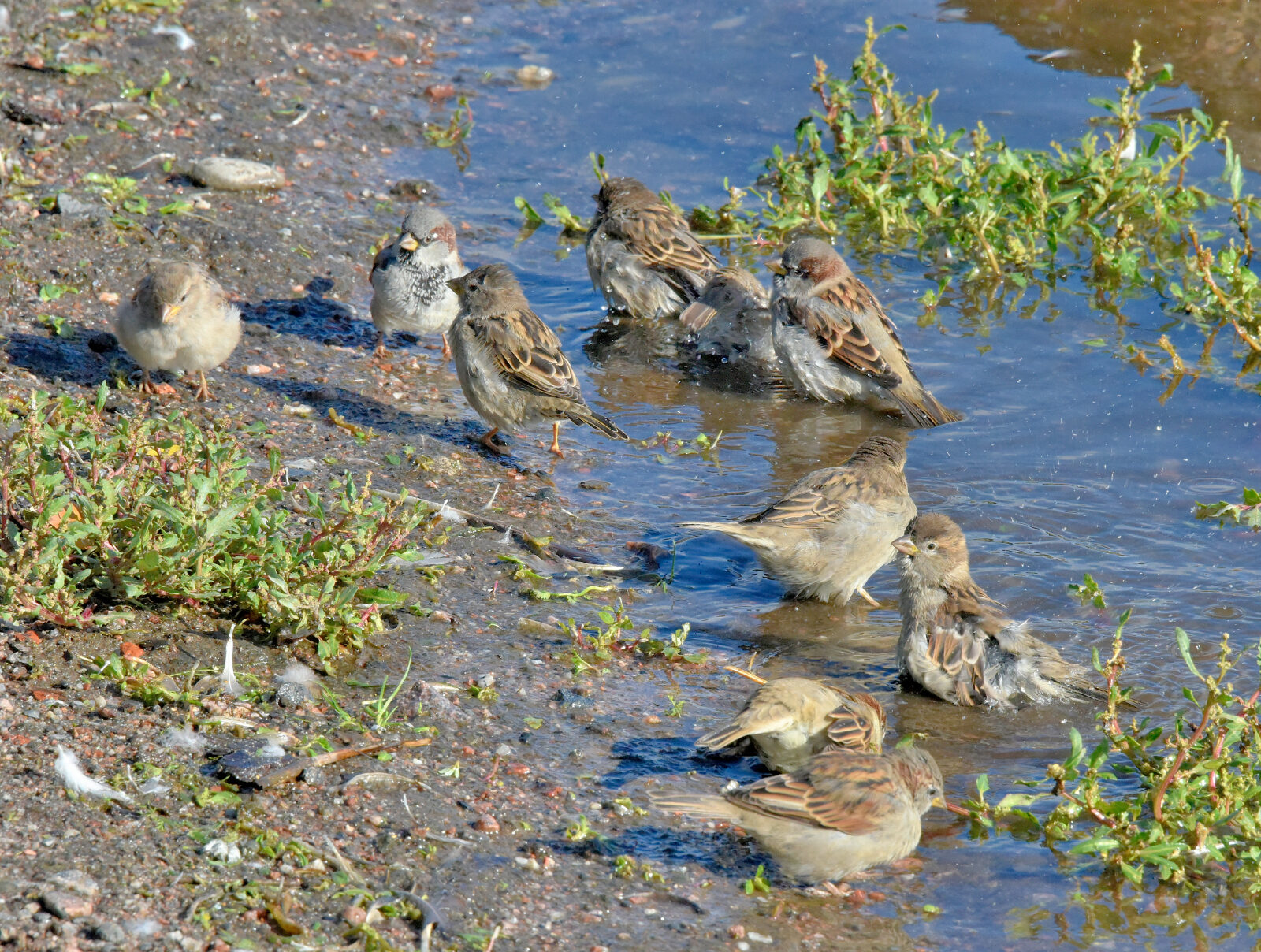 Valokuvaaja: Reijo Juurinen