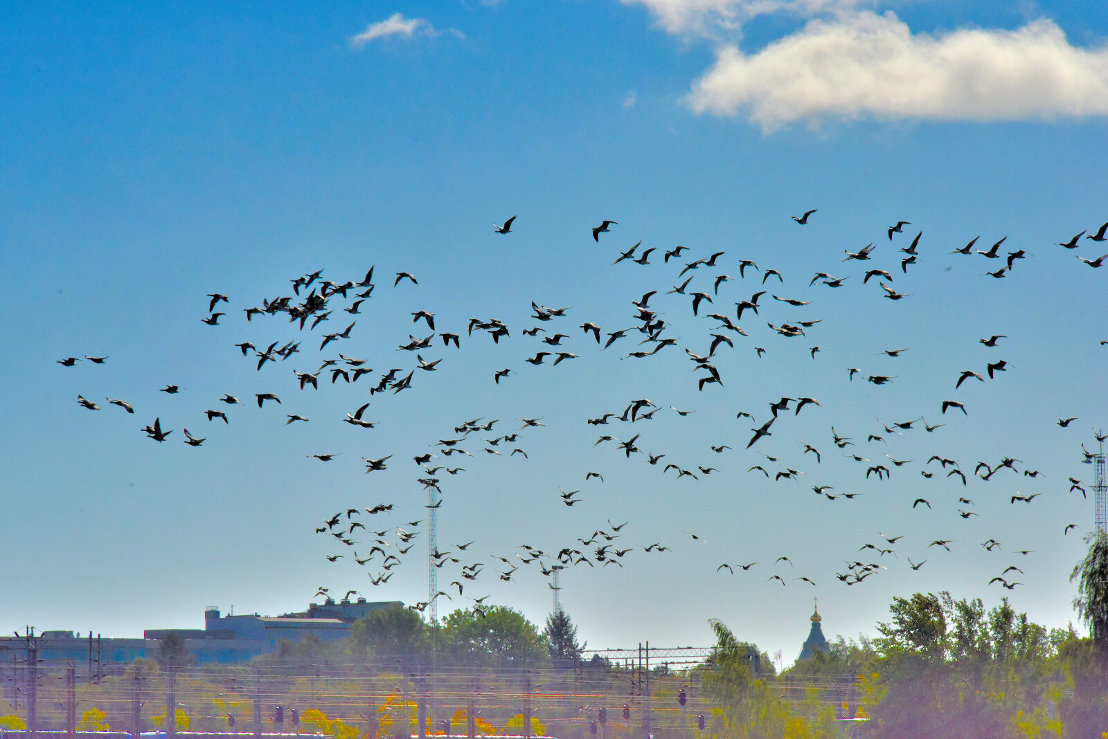 Valokuvaaja: Reijo Juurinen