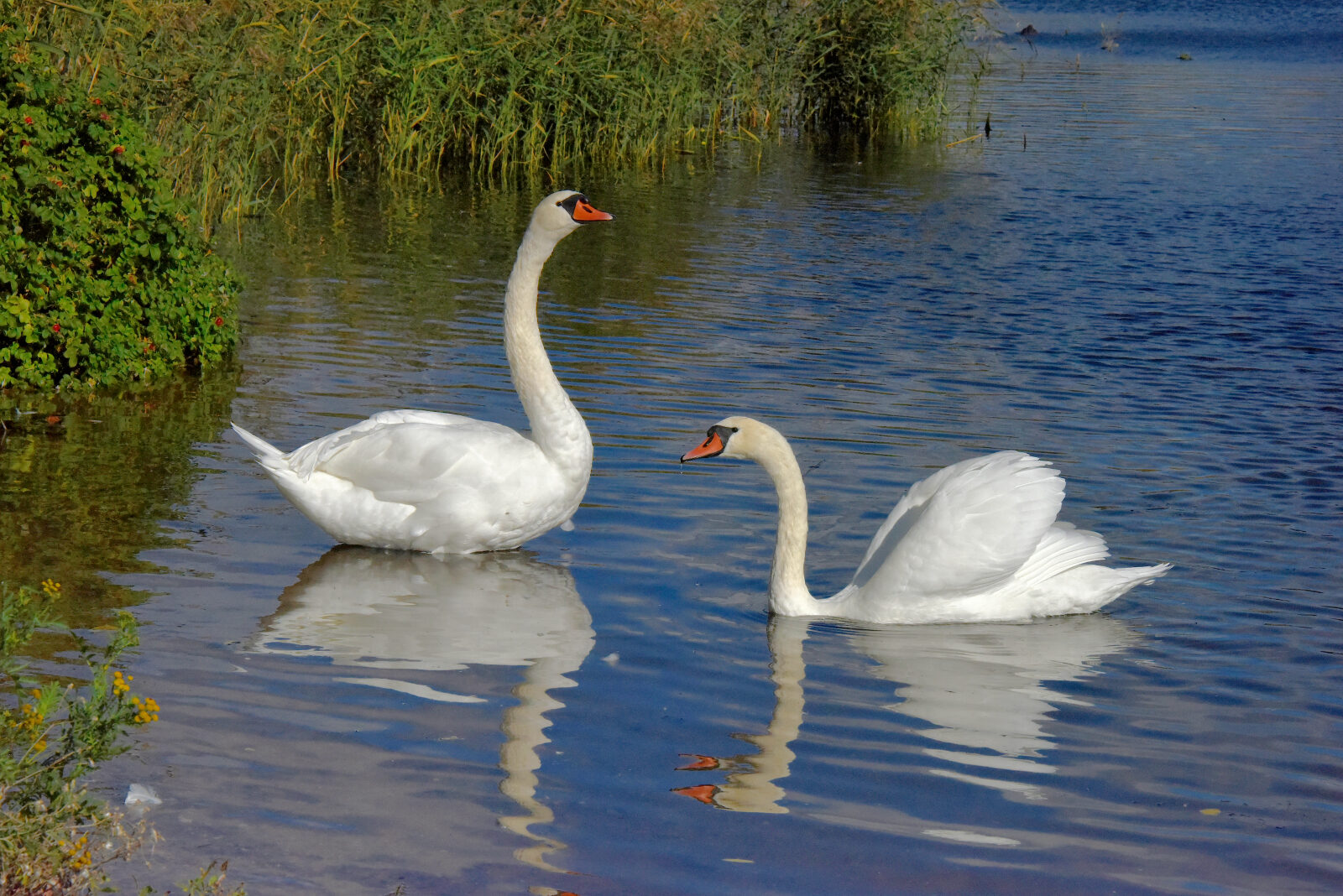 Valokuvaaja: Reijo Juurinen