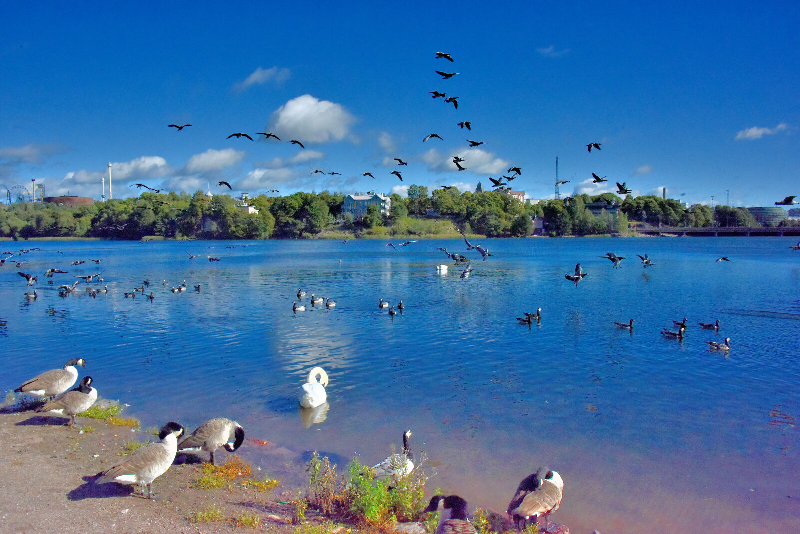 Valokuvaaja: Reijo Juurinen