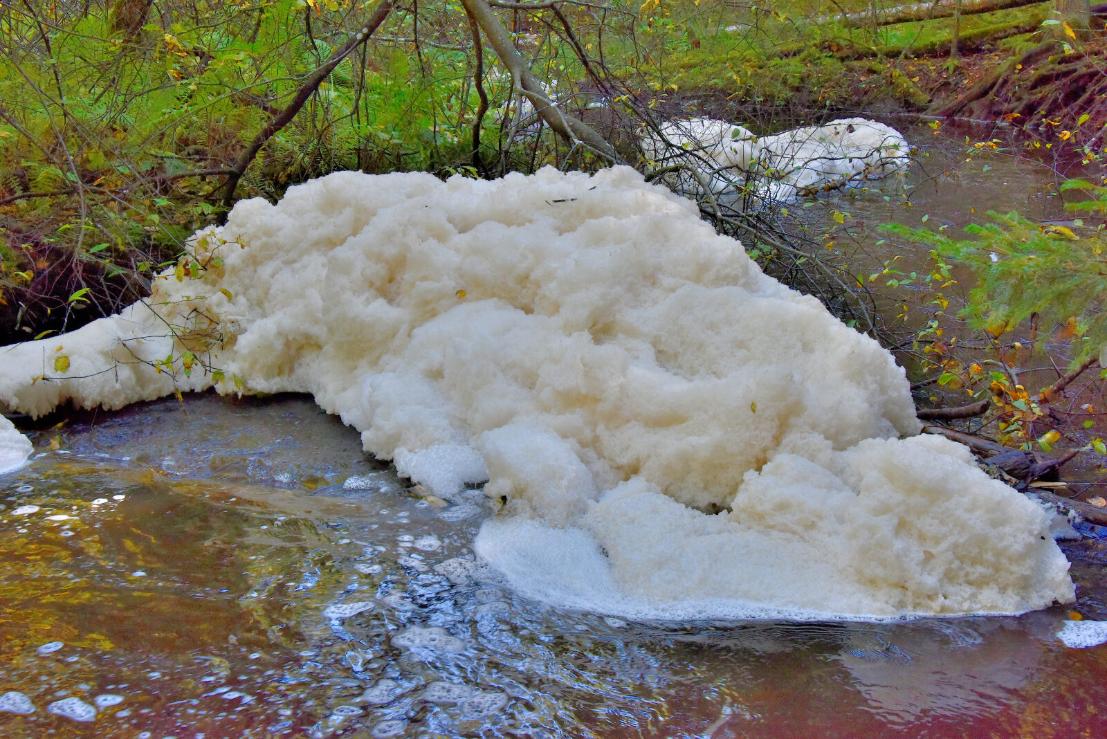 Valokuvaaja: Reijo Juurinen