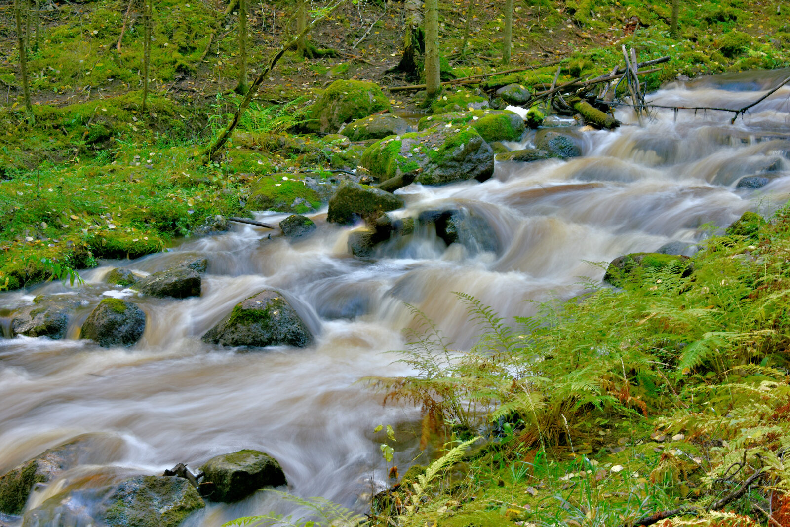 Valokuvaaja: Reijo Juurinen