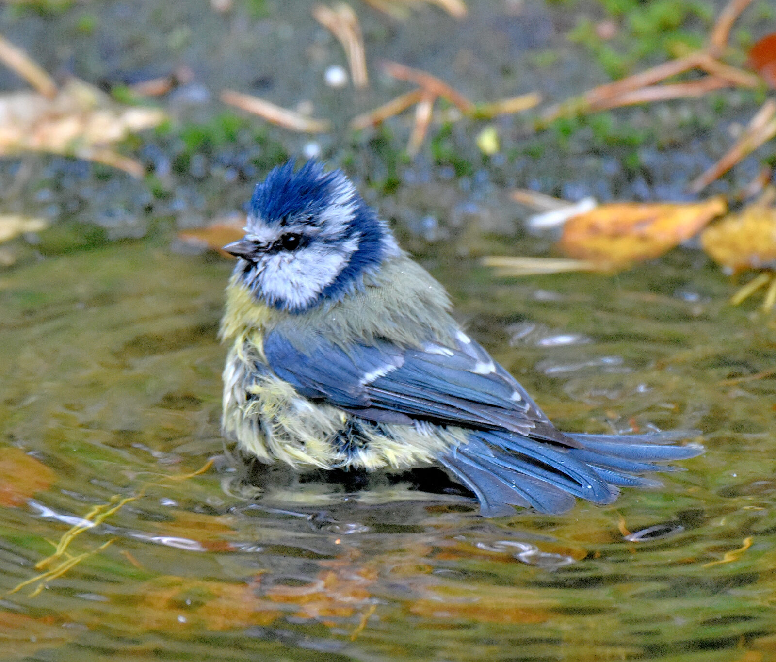 Valokuvaaja: Reijo Juurinen