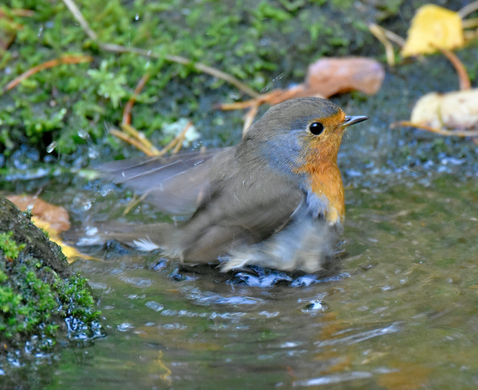 Valokuvaaja: Reijo Juurinen