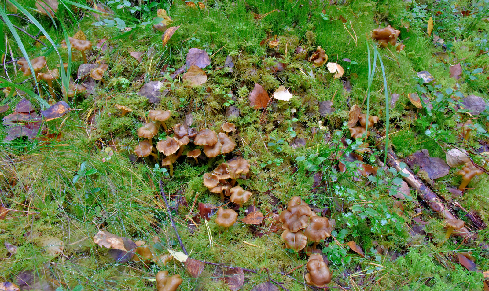 Valokuvaaja: Reijo Juurinen