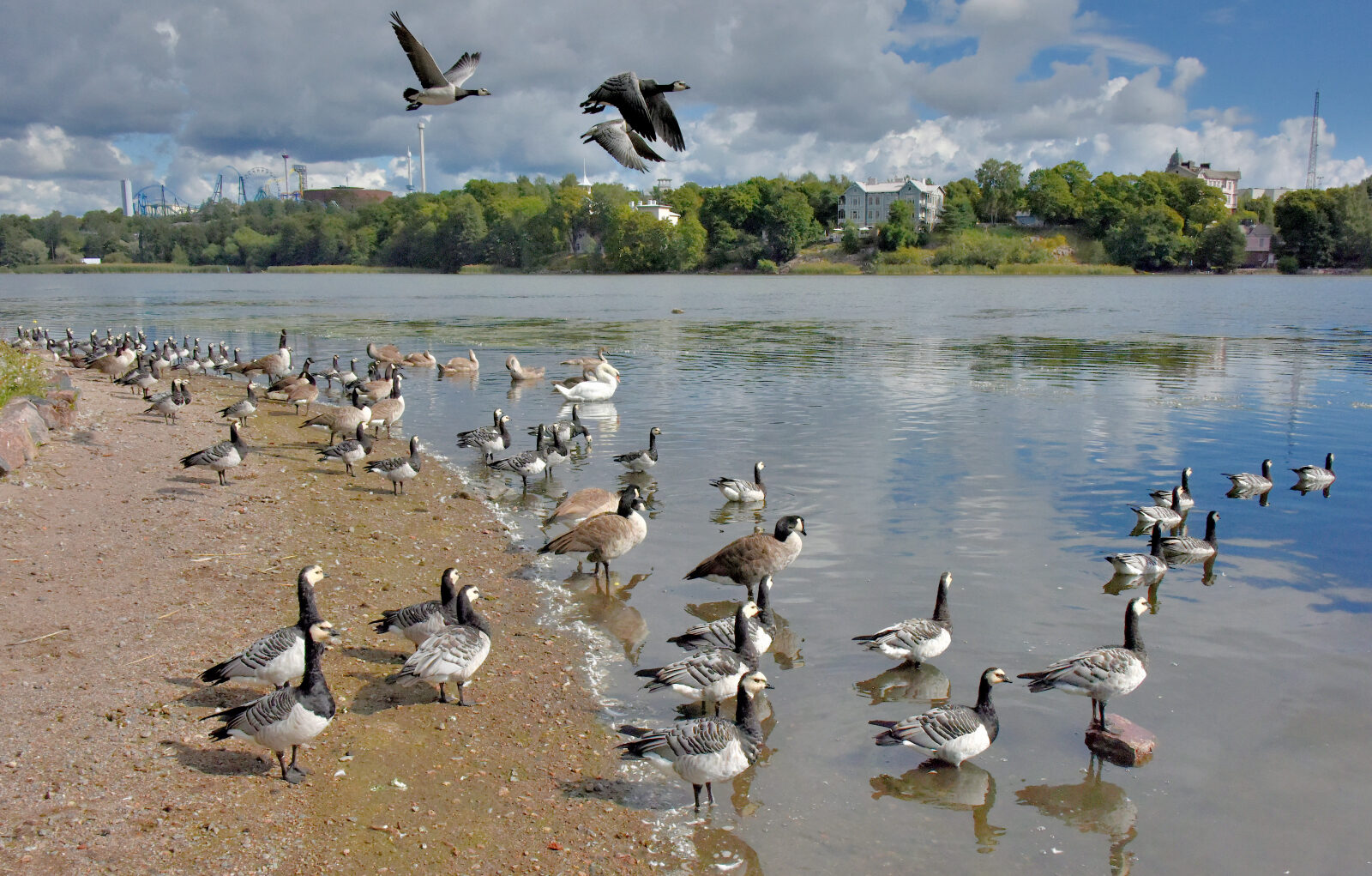 Valokuvaaja: Reijo Juurinen