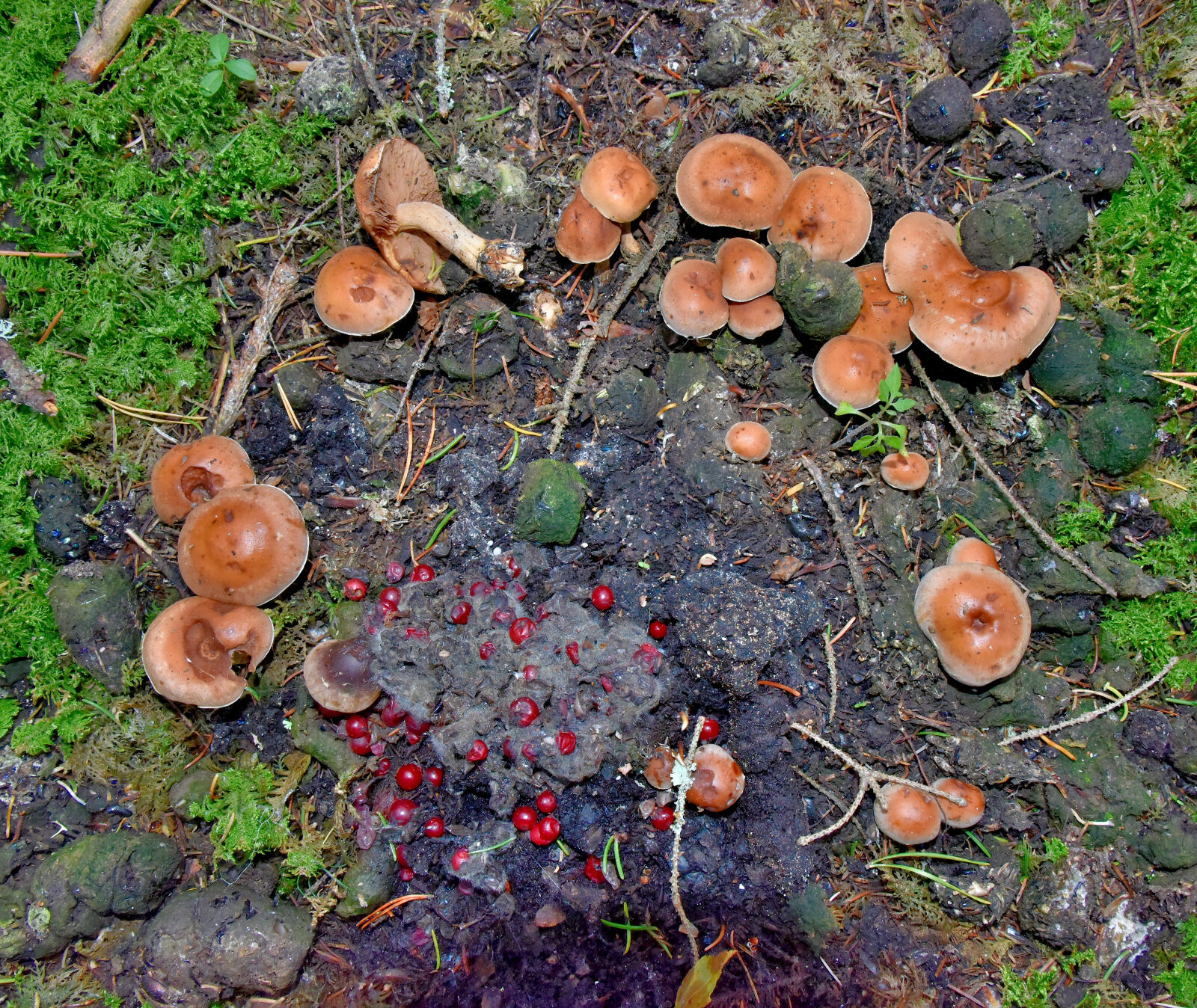 Valokuvaaja: Reijo Juurinen