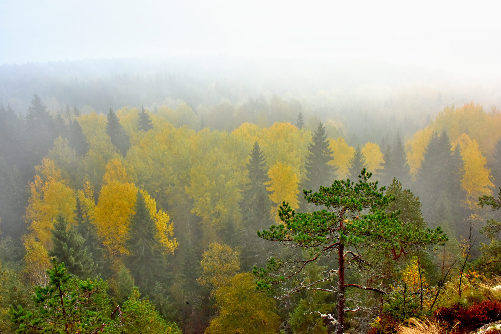 Valokuvaaja: Reijo Juurinen