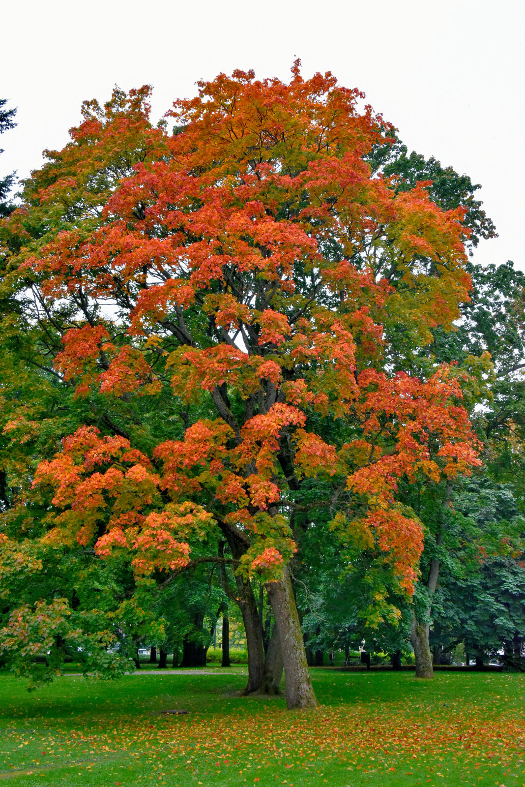 Valokuvaaja: Reijo Juurinen Valokuvaaja: Reijo Juurinen