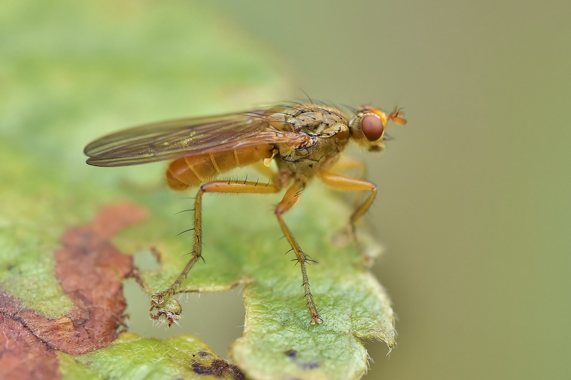 Valokuvaaja: Markku Pelkonen Valokuvaaja: Markku Pelkonen