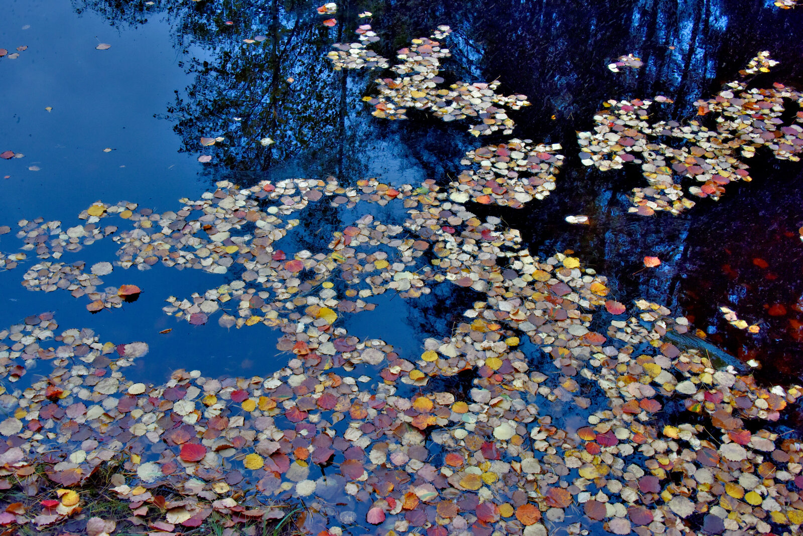 Valokuvaaja: Reijo Juurinen