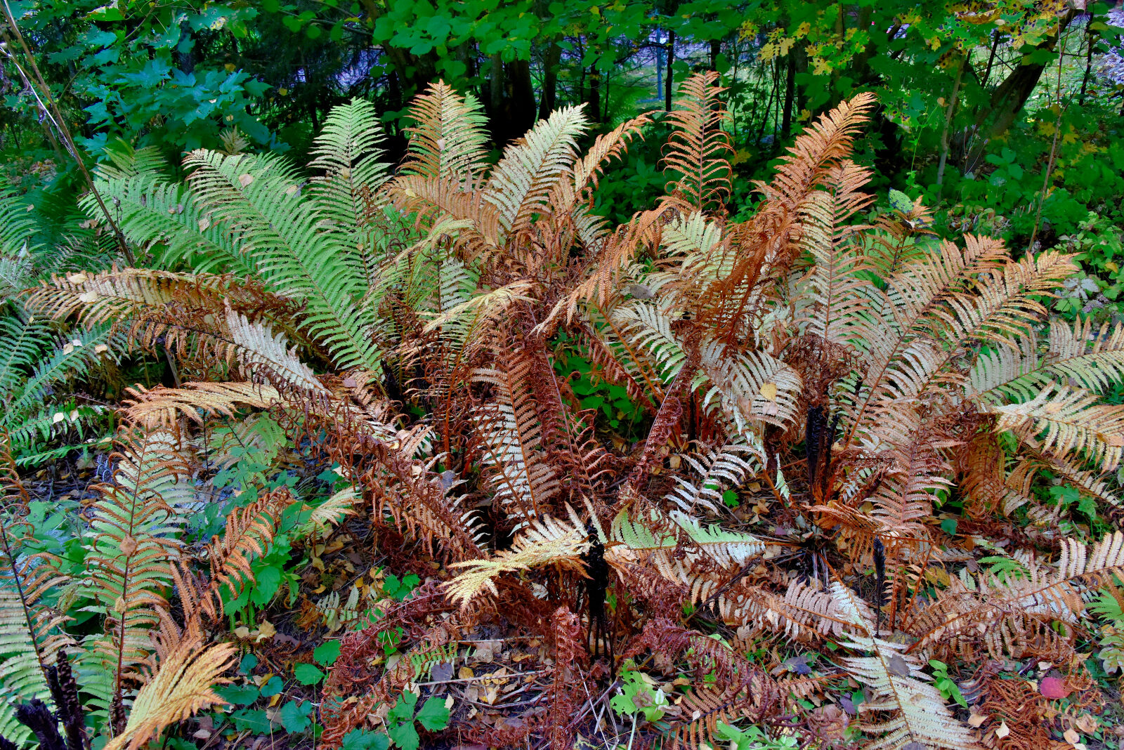 Valokuvaaja: Reijo Juurinen