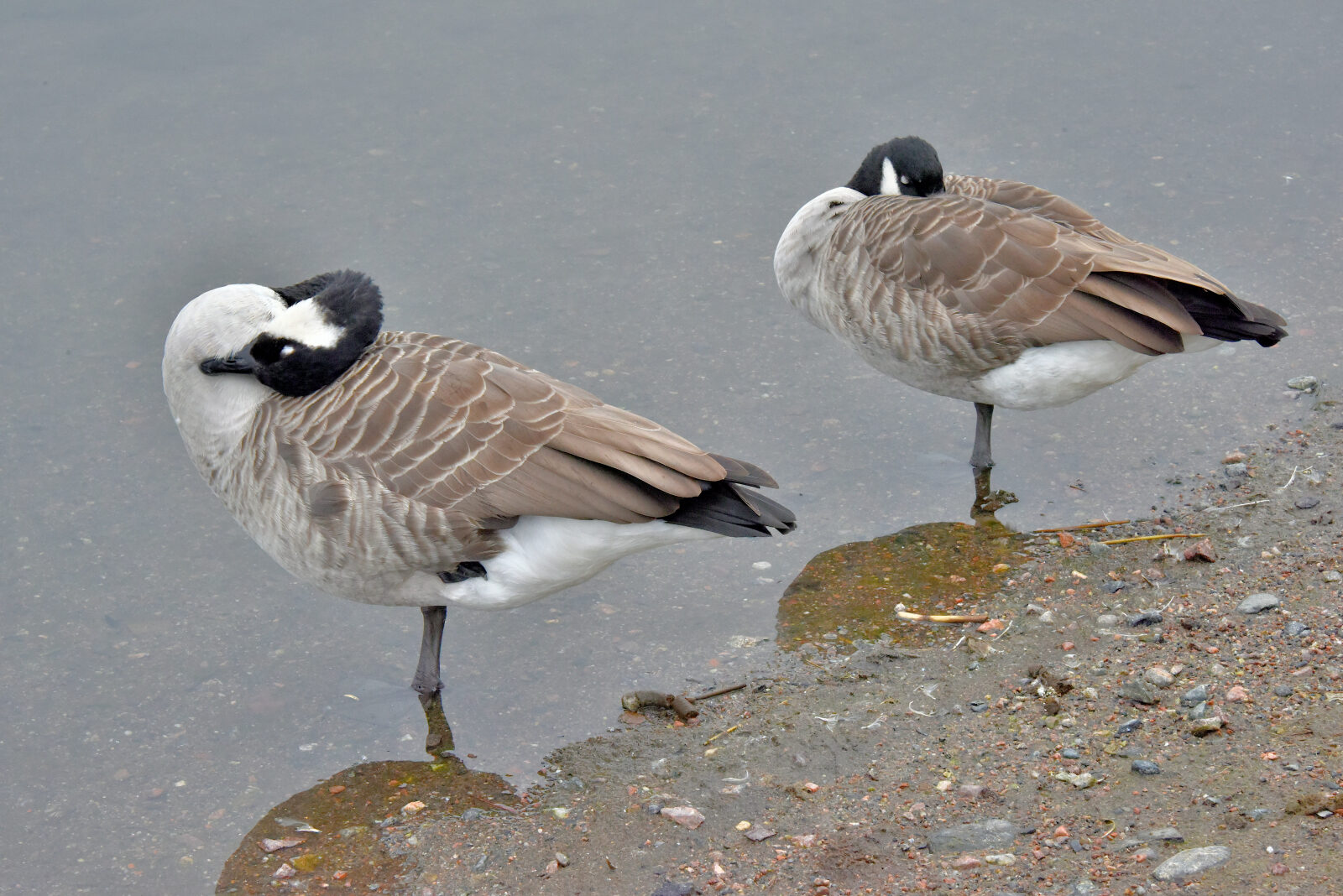 Valokuvaaja: Reijo Juurinen