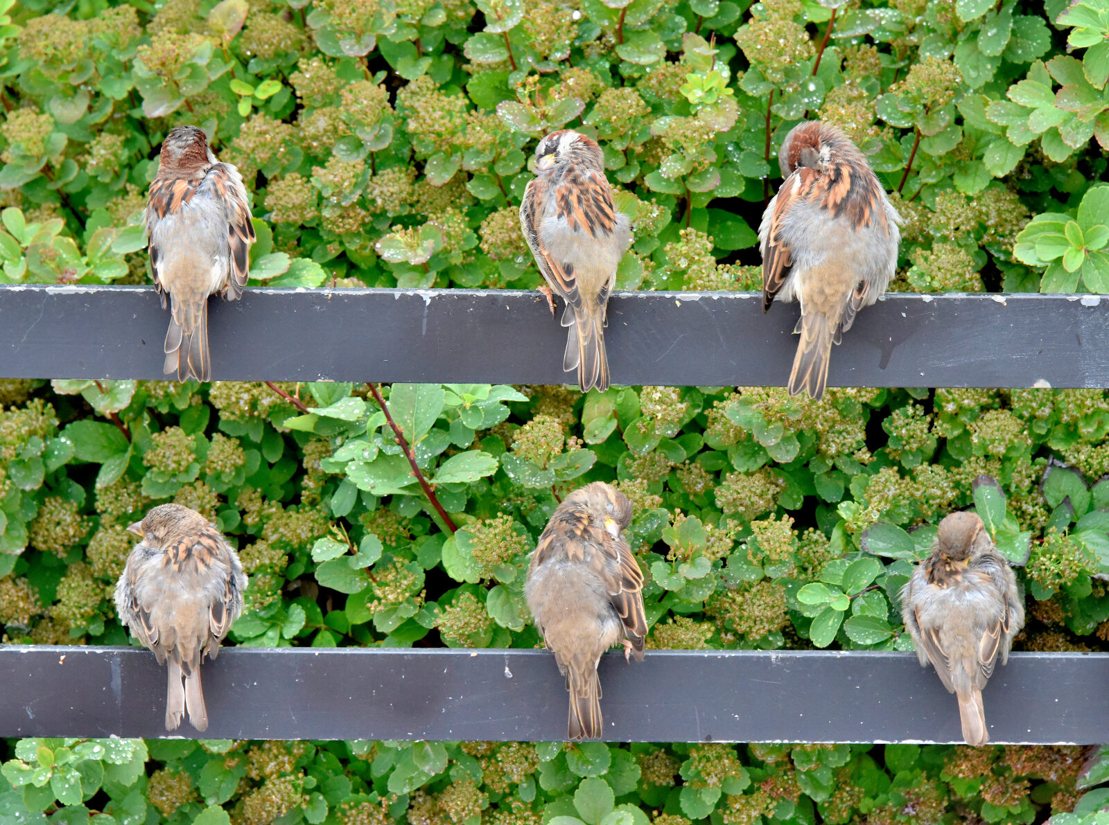 Valokuvaaja: Reijo Juurinen