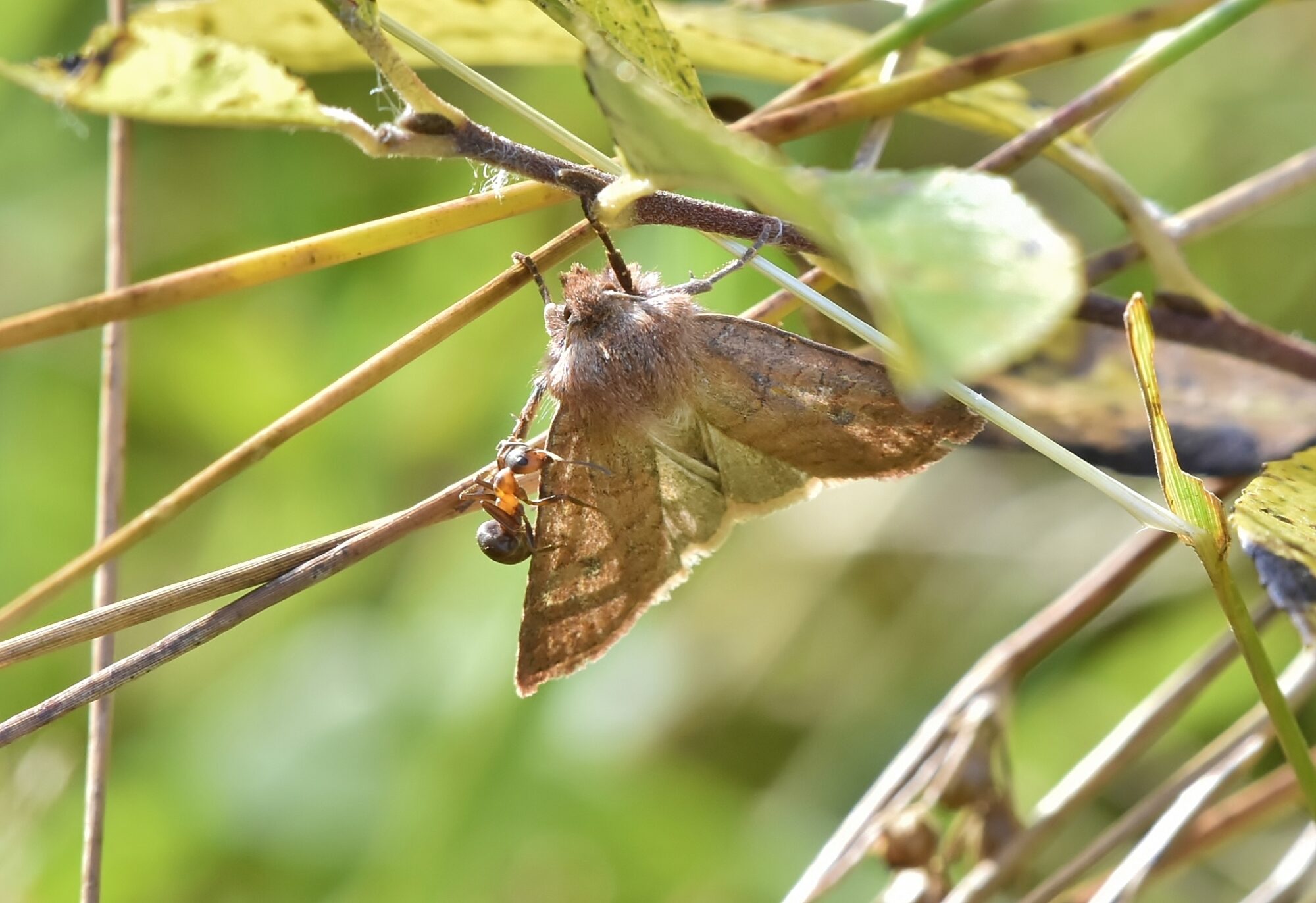 Valokuvaaja: Markku Pelkonen