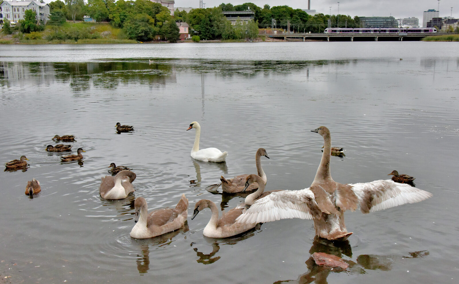 Valokuvaaja: Reijo Juurinen