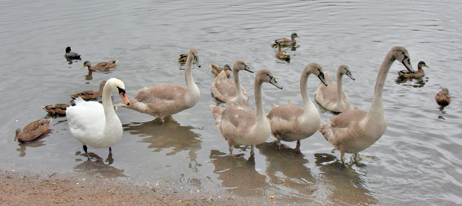 Valokuvaaja: Reijo Juurinen