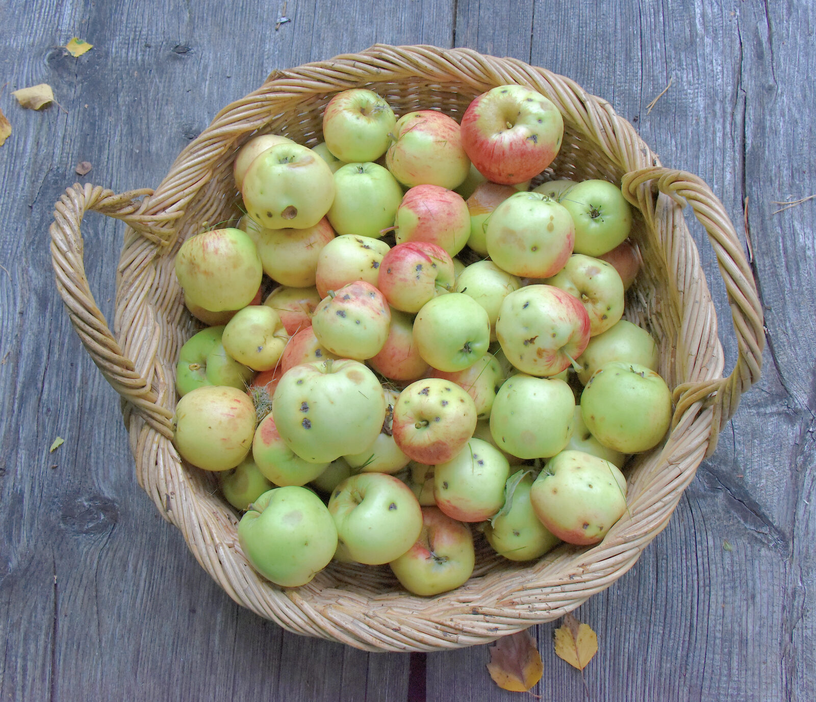 Valokuvaaja: Reijo Juurinen