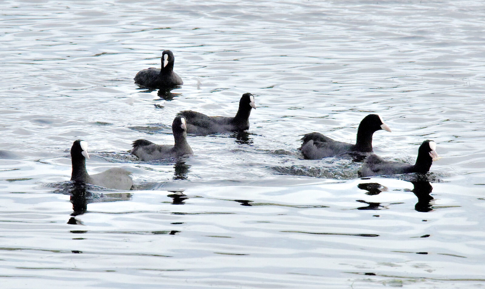 Valokuvaaja: Reijo Juurinen