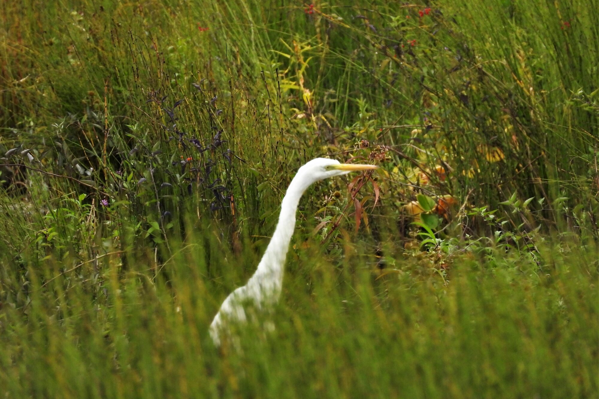 Valokuvaaja: Maarit Siitonen