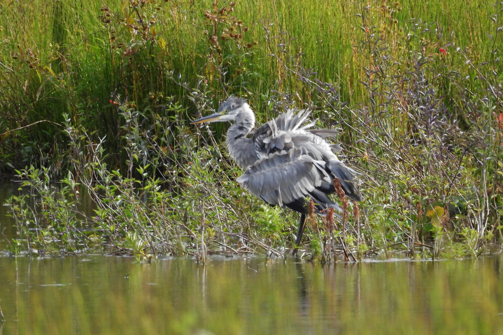 Valokuvaaja: Maarit Siitonen