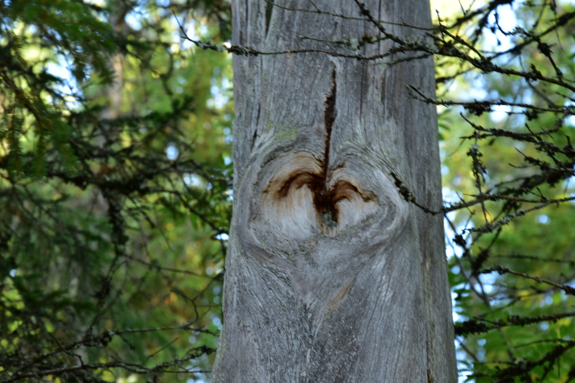 Valokuvaaja: Lahja Toivanen