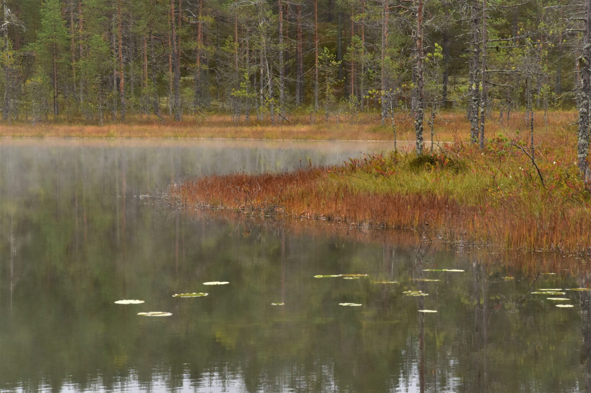 Valokuvaaja: Lahja Toivanen