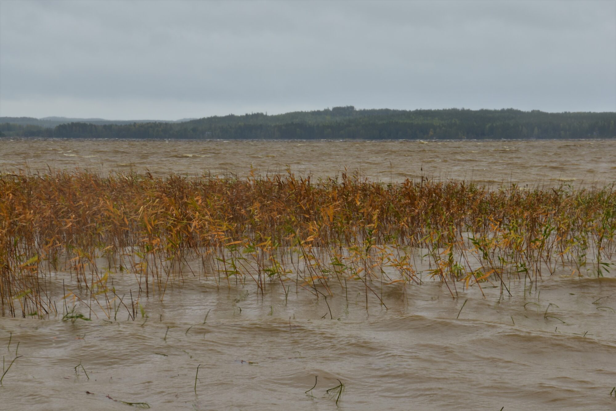 Valokuvaaja: Lahja Toivanen