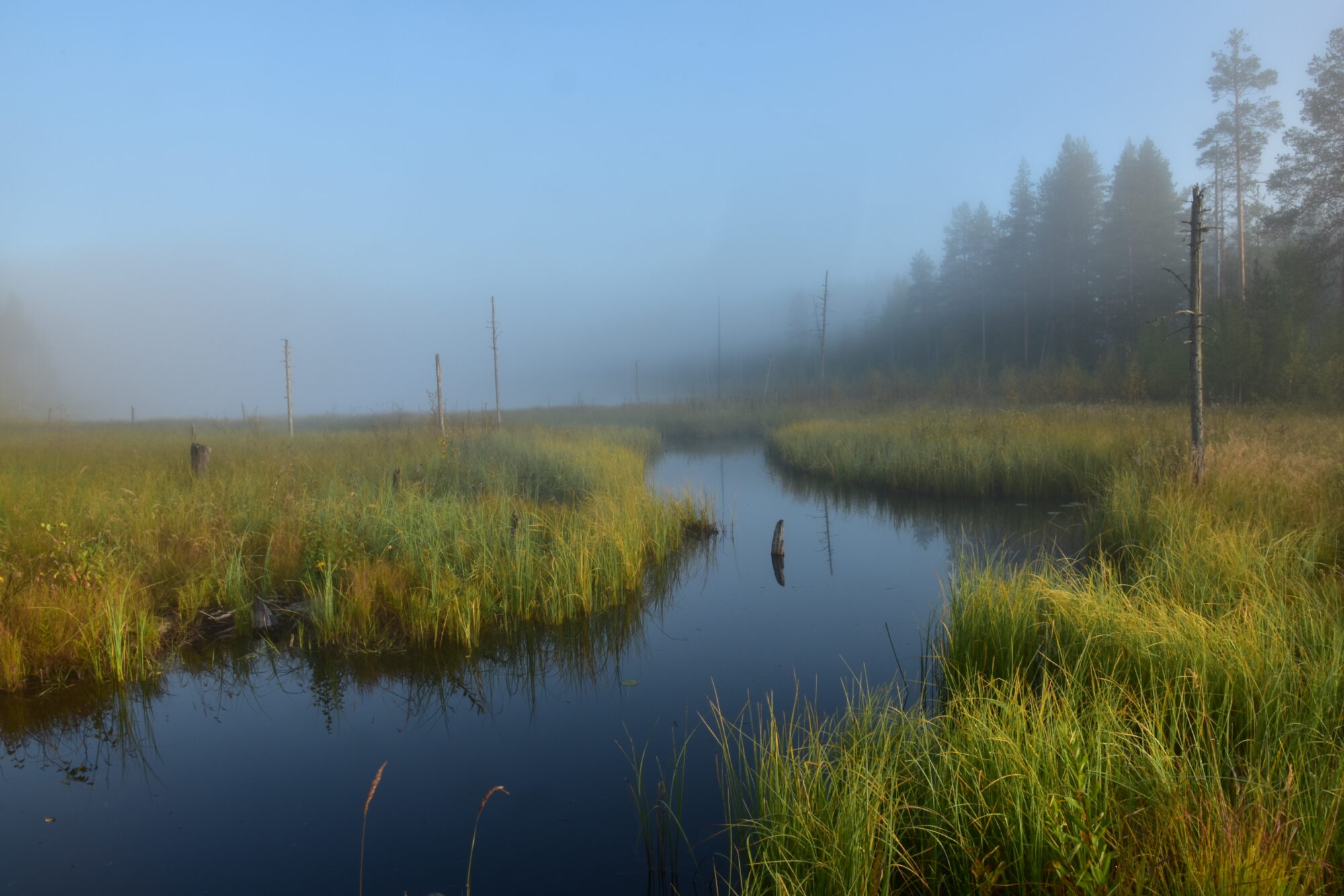 Valokuvaaja: Lahja Toivanen
