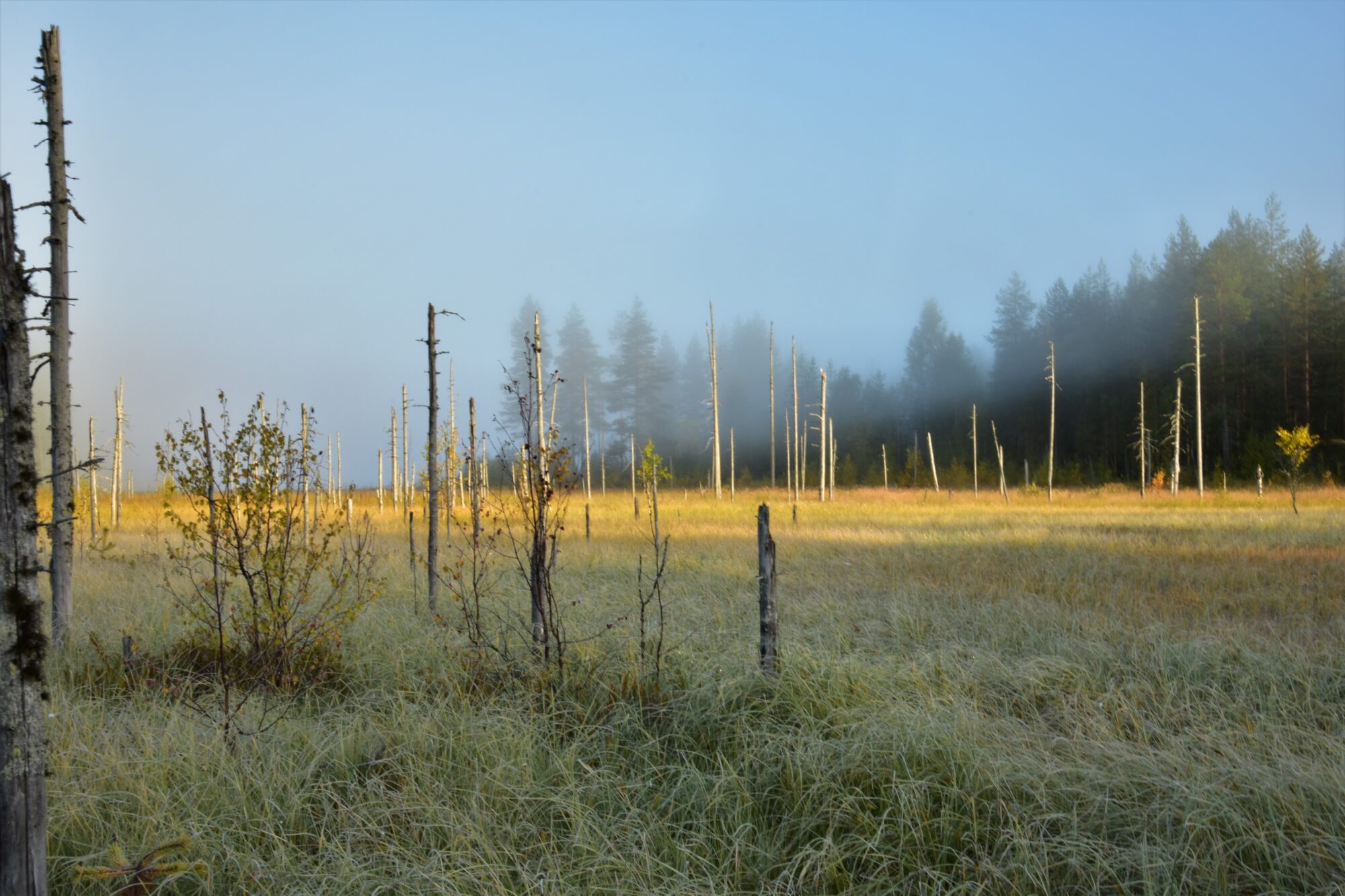 Valokuvaaja: Lahja Toivanen
