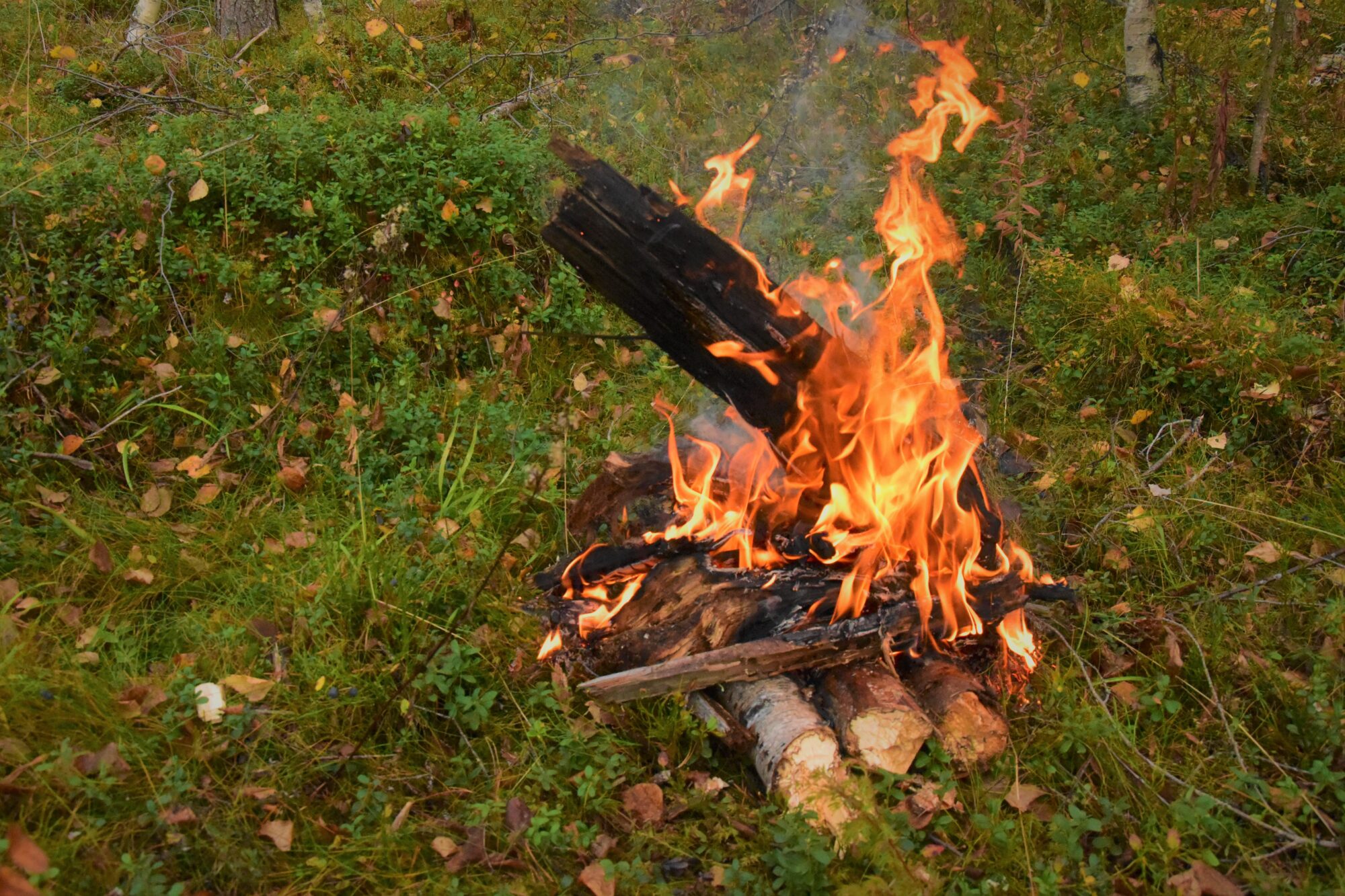 Valokuvaaja: Lahja Toivanen Valokuvaaja: Lahja Toivanen