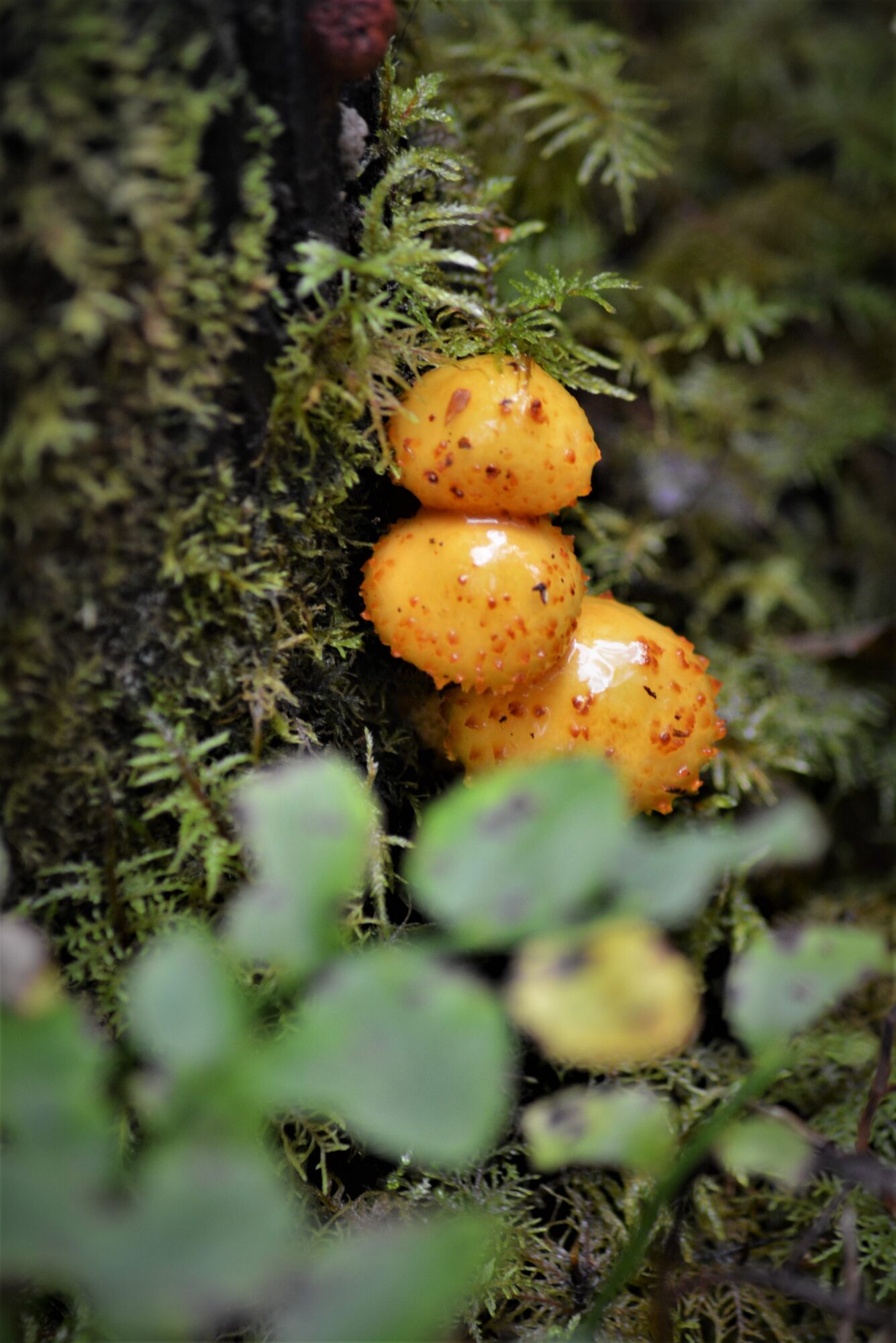 Valokuvaaja: Martti Airasvaara