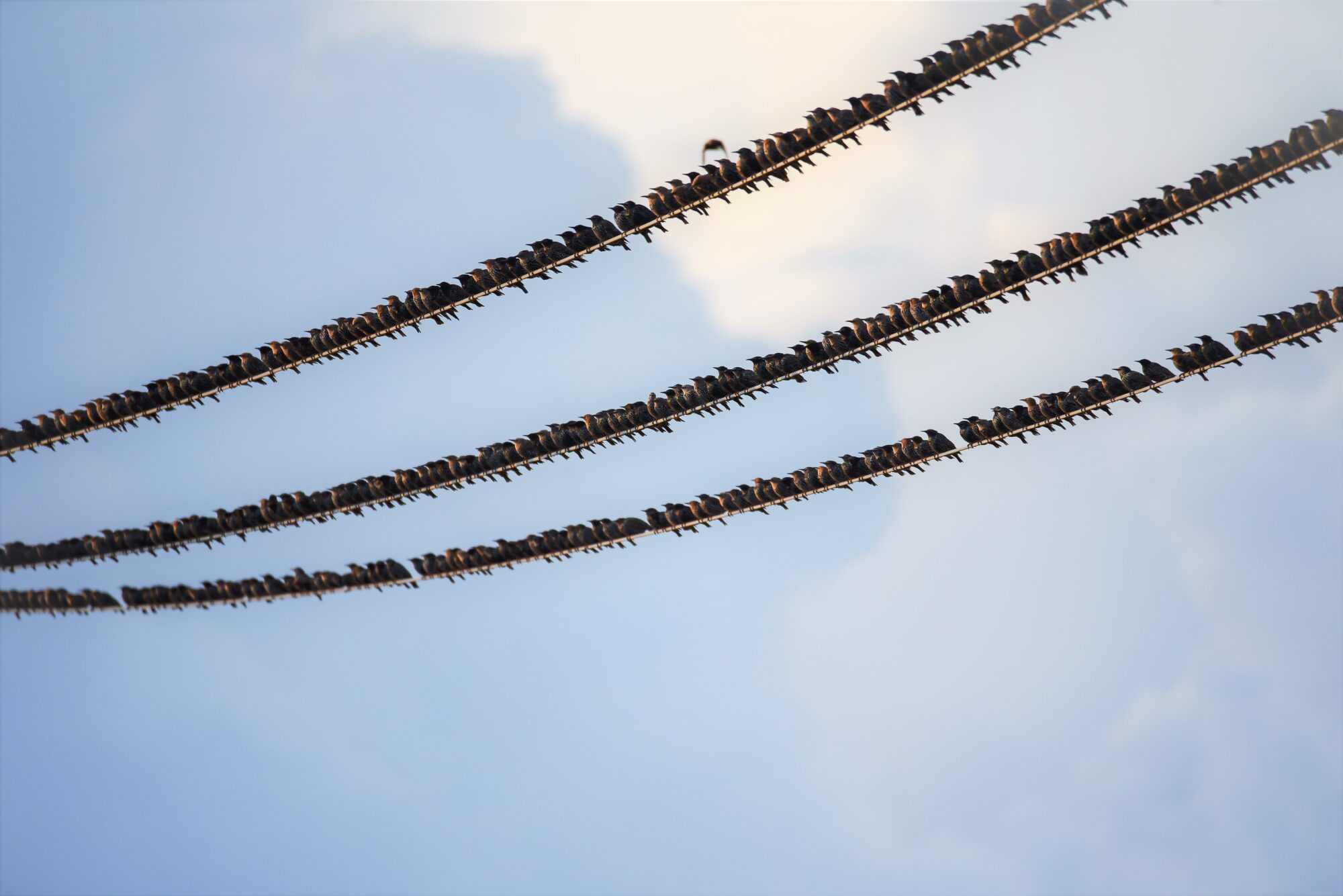 Valokuvaaja: LEENA LATVALA