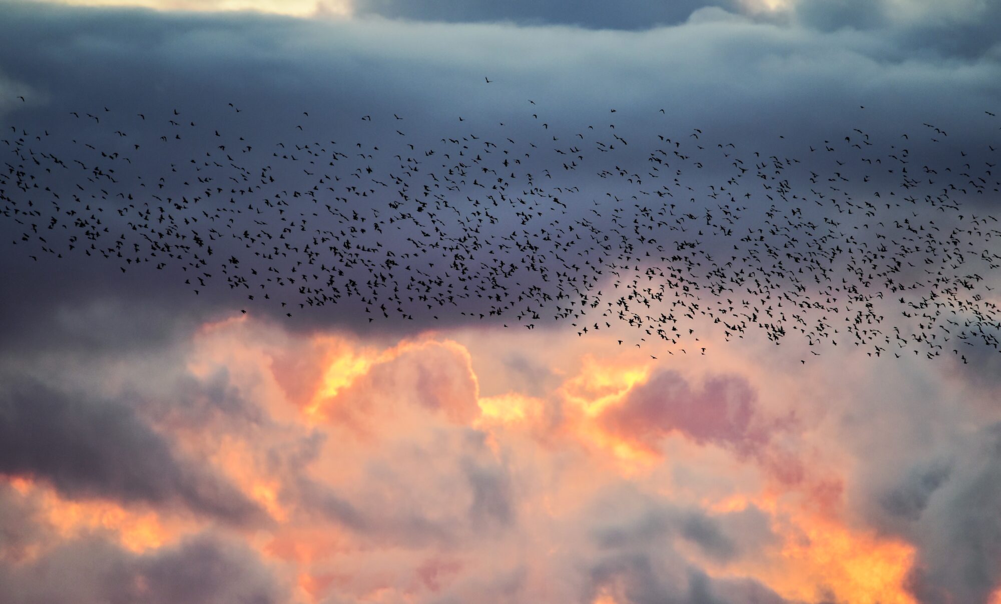 Valokuvaaja: LEENA LATVALA