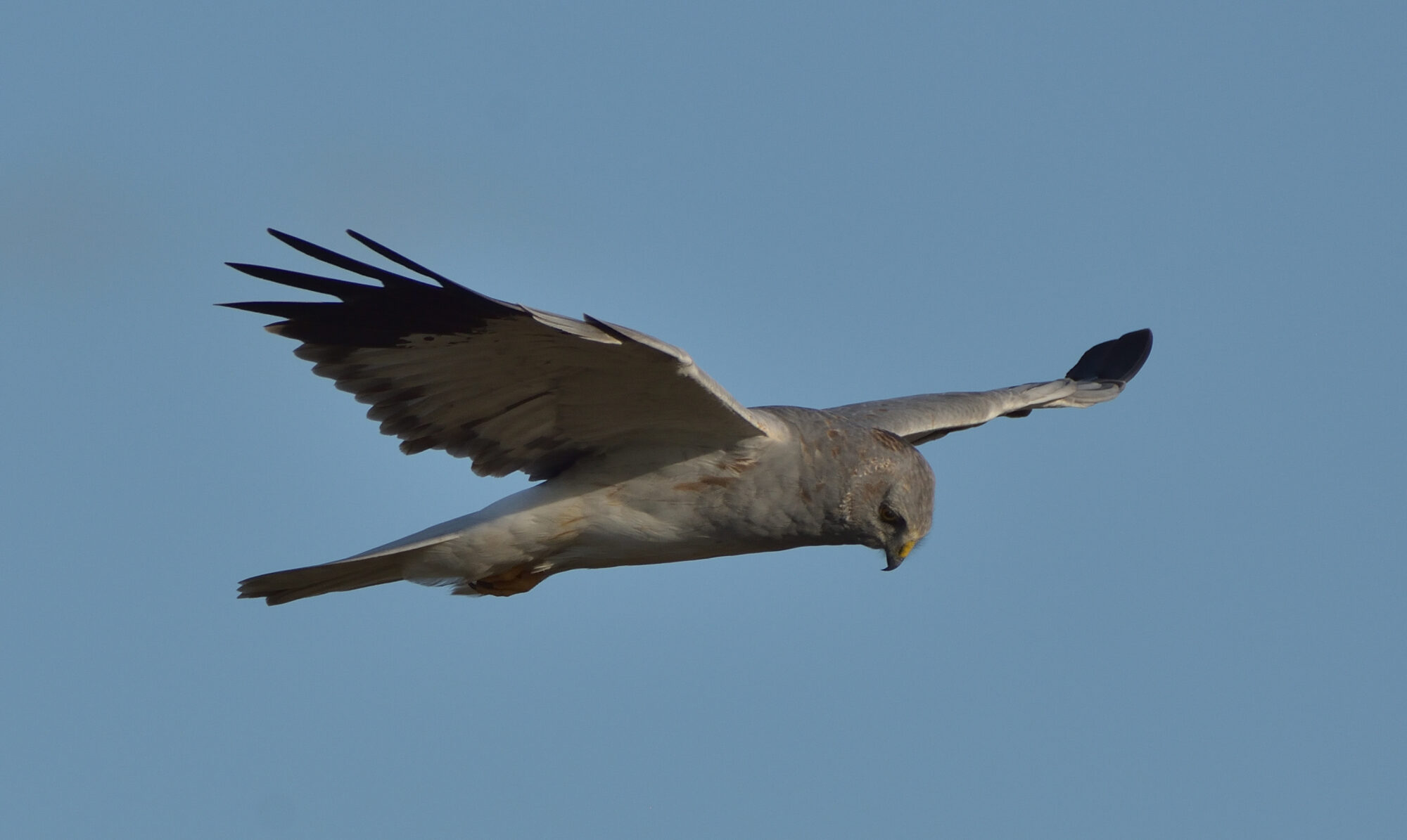 Valokuvaaja: Asko Heikkinen