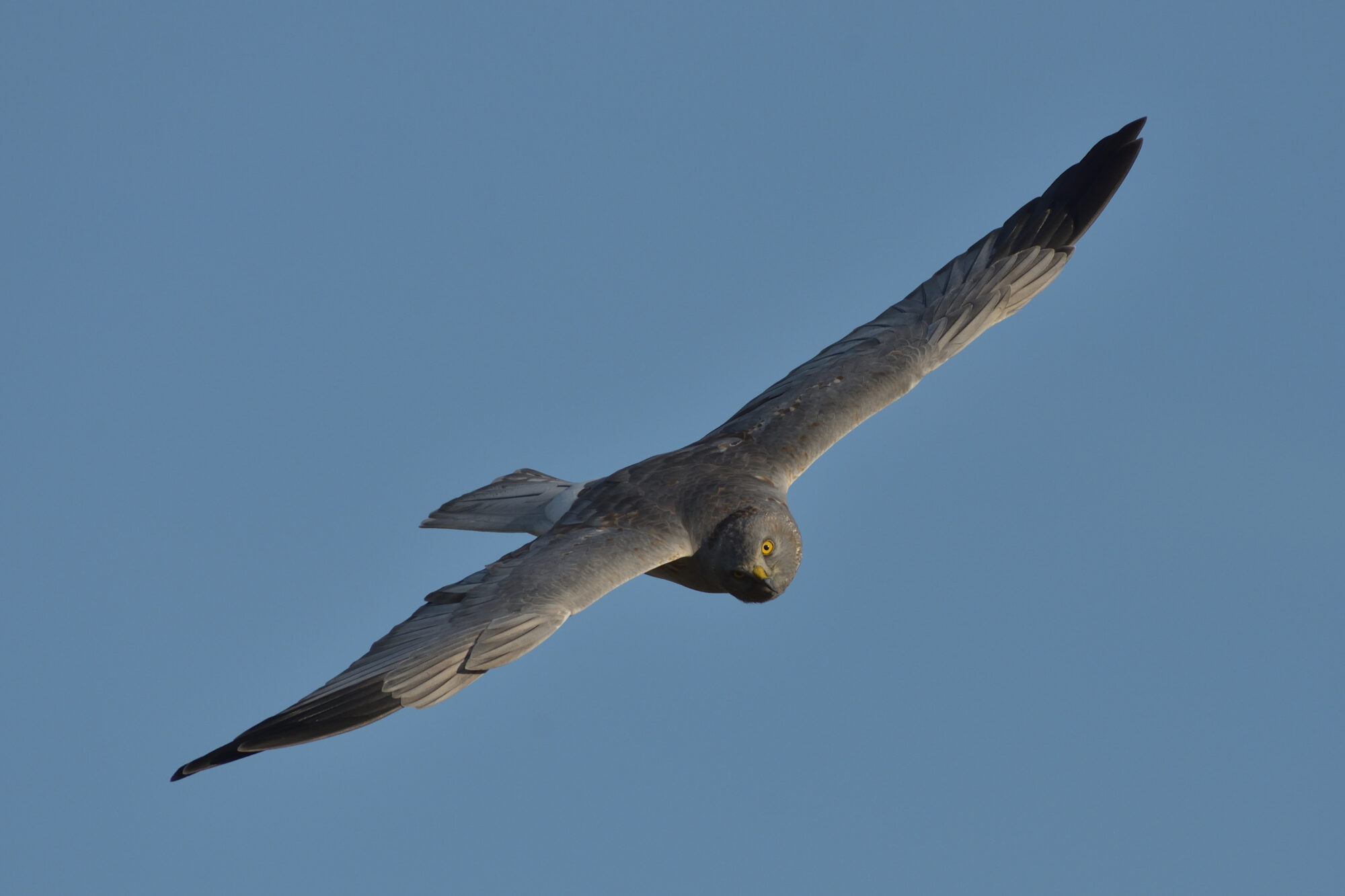 Valokuvaaja: Asko Heikkinen