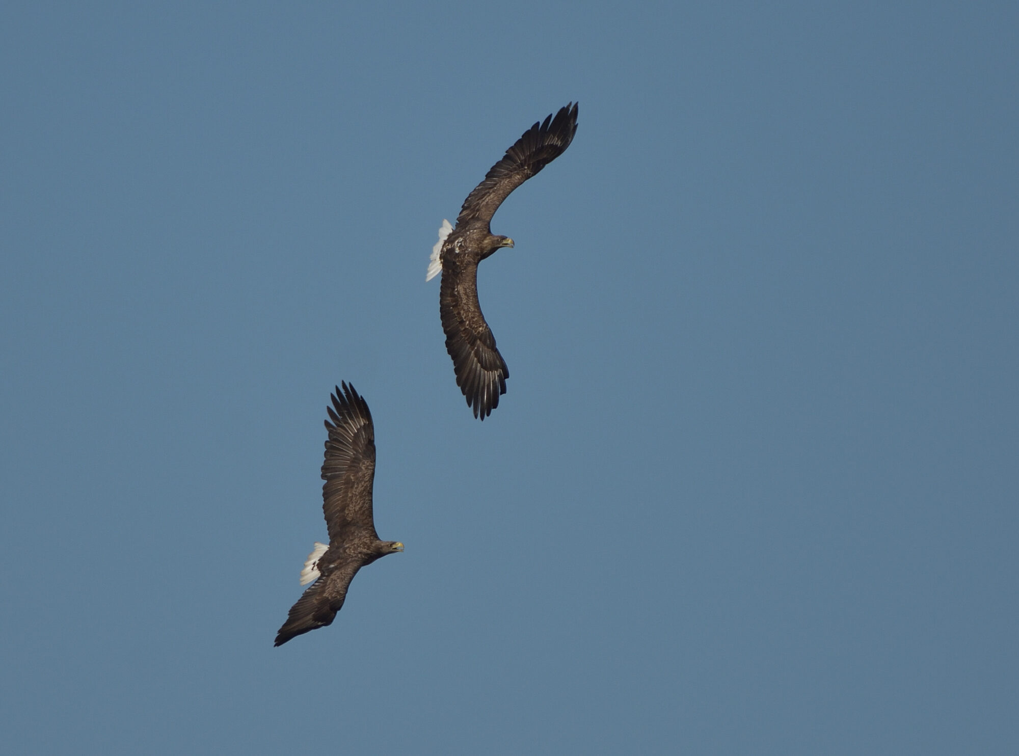 Valokuvaaja: Asko Heikkinen